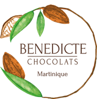 Bénédicte Chocolats
